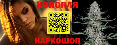 альфа пвп Аргун