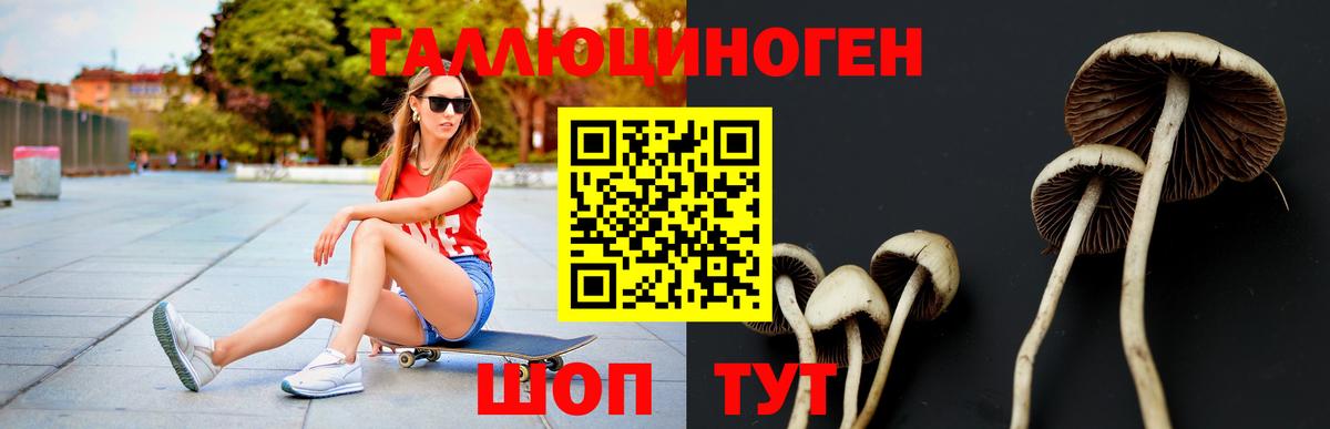 Воткинск  Псилоцибиновые грибы мухоморы  Галлюциногенные грибы GOLDEN TEACHER  цена наркотик  Вход с VPN 